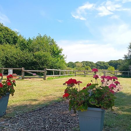 Cosy Cabins At Westfield Farm, Isle Of Wight 雅茅斯 外观 照片