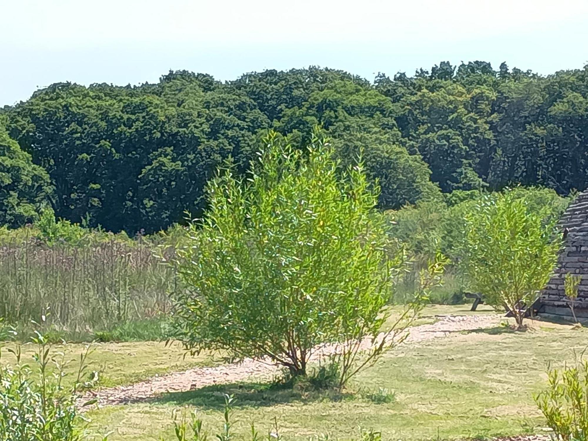 Cosy Cabins At Westfield Farm, Isle Of Wight 雅茅斯 外观 照片
